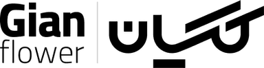 گیان