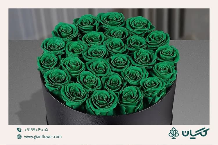 معنی گل رز سبز