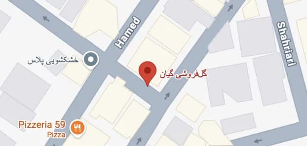 نقشهی گلفروشی گیان در زعفرانیه