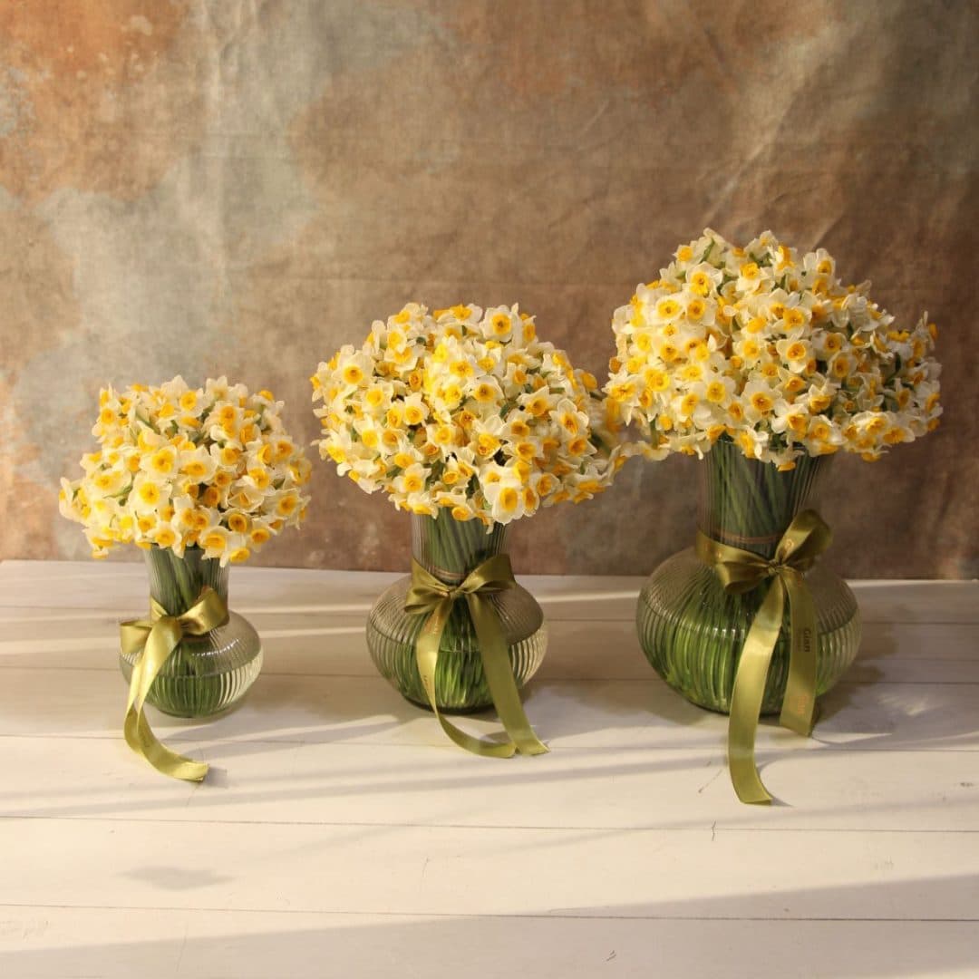 گلدان شیشه ای نرگس ۷۵ شاخه