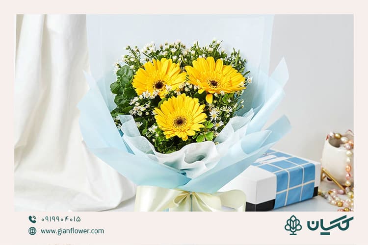 گل ژربرا برای دسته گل برای دفاع پایان نامه