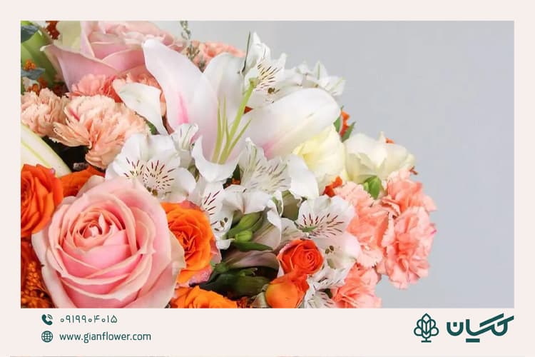 لیلیوم جزو شیک ترین دسته گل دفاع