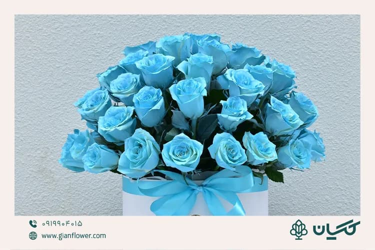 معنی گل رز آبی