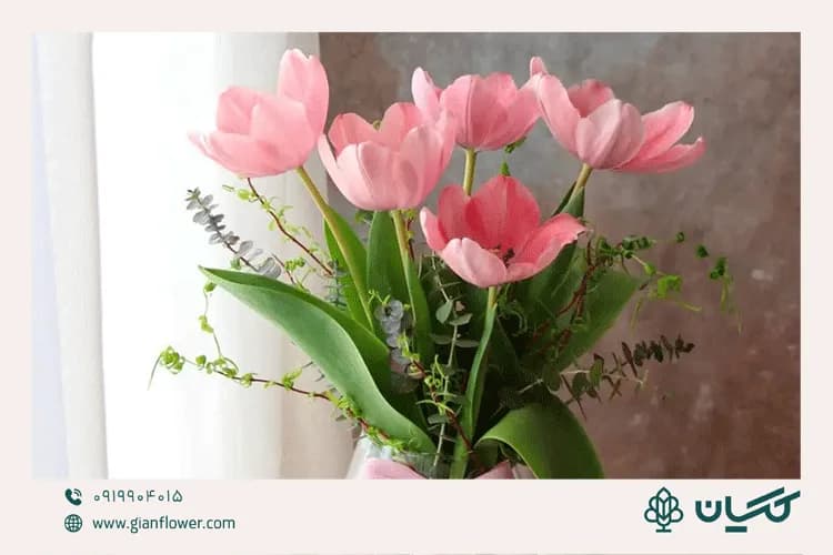 گل لاله، گل ماه تولد اسفند (February-March)