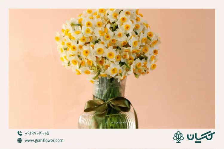 گلدانهای شیشهای برای مادرهای خوشسلیقه