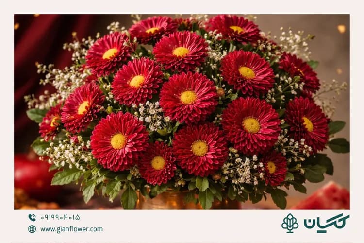 گل مینا قرمز