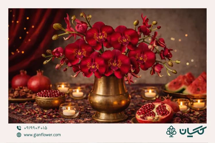 گل ارکیده قرمز، گل مخصوص شب یلدا